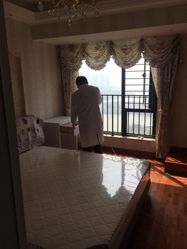 新湖果嶺5幢31樓業主甲醛治理