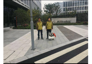 濱江阿里巴巴二期